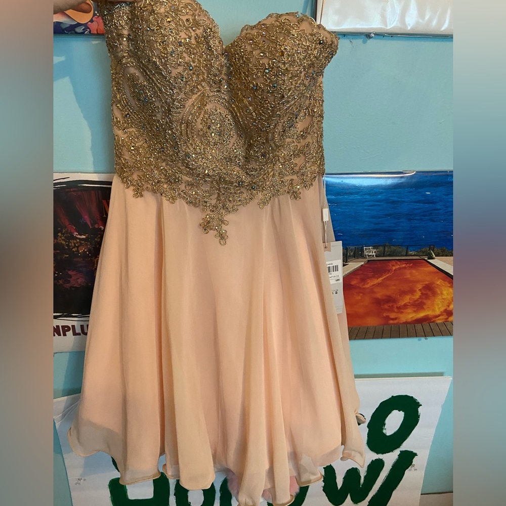 beautiful pink and gold dress